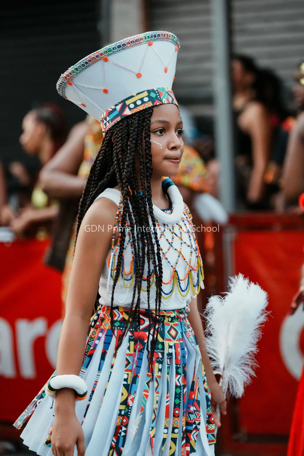 Annual cultural fest dance performance